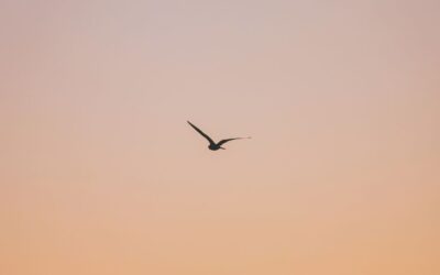 Gdy Życie Cię Zatrzymuje… Lekcje, Których Nie Możesz Ominąć